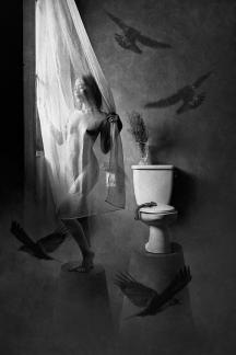 TOILET ART-OK-01