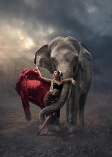 Sally and elephant