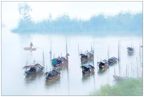 Boats in a row