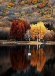 Autumn Colors