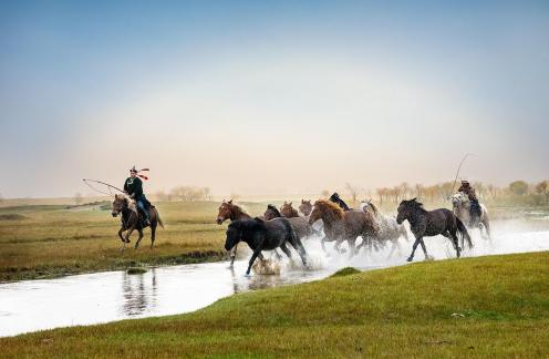 Horse Stepping on Water Splash