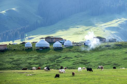 Life on Xinjiang Grassland