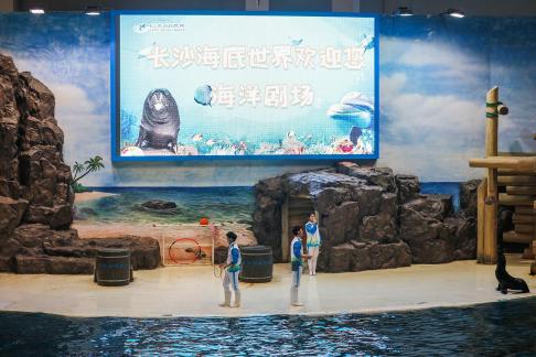 Marine Animal Performance 6