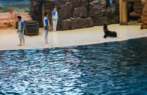 Marine Animal Performance 7