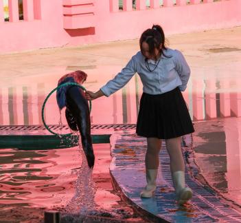an animal show 14