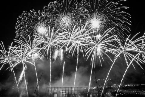 Fireworks bloom in full bloom 5