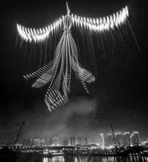 Fireworks bloom in full bloom 6