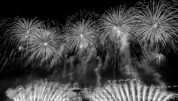 Fireworks bloom in full bloom 7