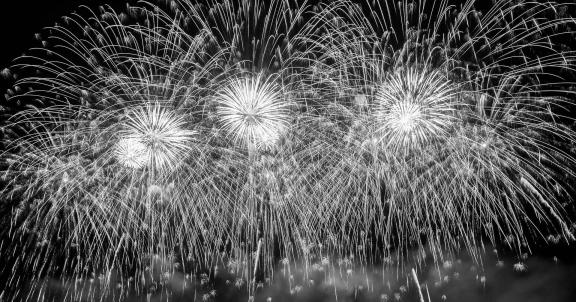 Fireworks bloom in full bloom 8