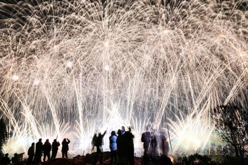 Fireworks bloom in full bloom 20