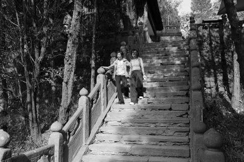 Journey to the Mountains 21