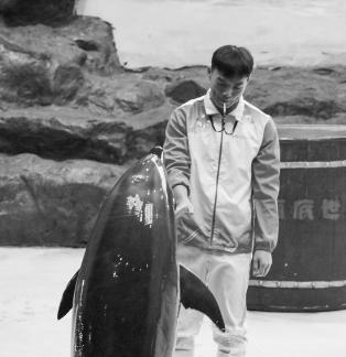 Marine Animal Performance 13