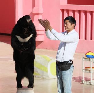 an animal show 4