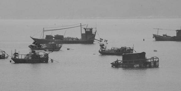 Fishing boats at sea 8