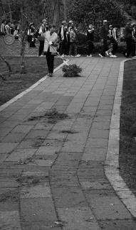 Sweep dust and pick up light 3