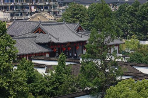 City forest overlapping green 3