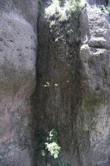 Green between cliffs 2