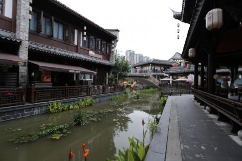 Green Wave Reflection 7