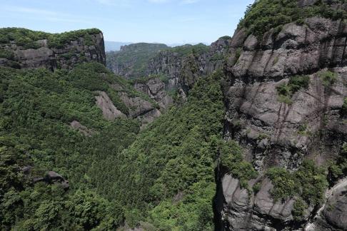 Mountain vegetation 15