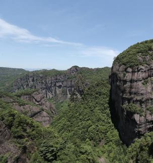 Mountain vegetation 16