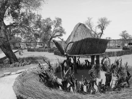 Forest building language 2