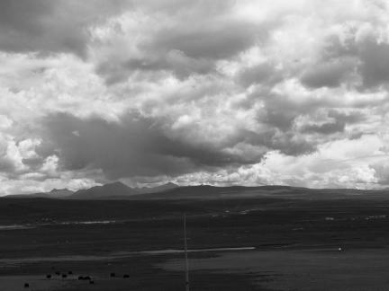 Yunmu Green Field 23