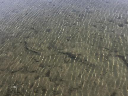 Blue waves and cloud shadows 3