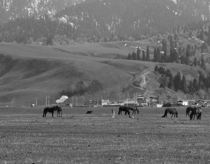 Dian Shang Pastoral Song 5