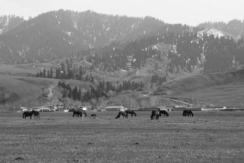 Dian Shang Pastoral Song 6