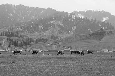 Dian Shang Pastoral Song 7