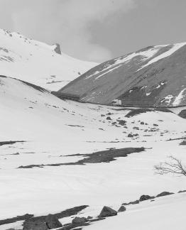 Snow Mountain Vein 6