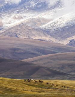 High mountain pasture 35