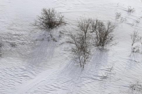 Empty field white painting 9