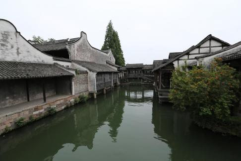 Singing on the green waves 17