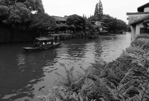 Singing on the green waves 22