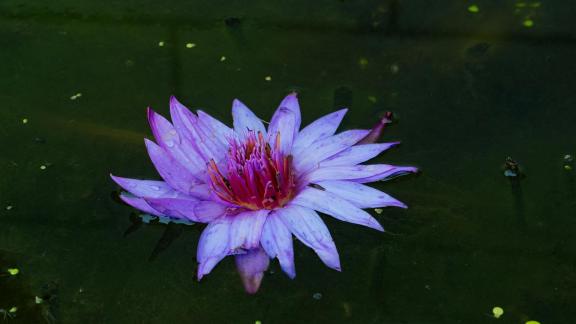 The scenery in the temple 3