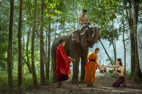 Buddha Nature3