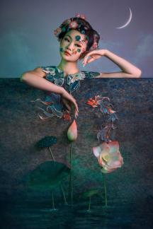 Moonlit Reverie