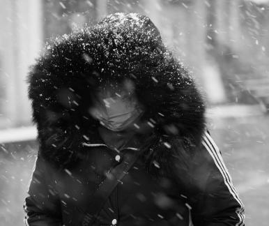 Snowflakes Dancing in the World 54