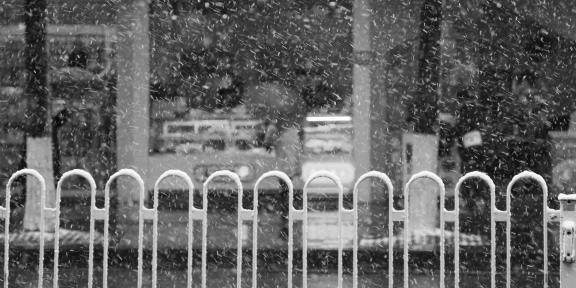 Snowflakes Dancing in the World 56