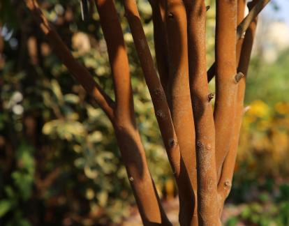 The quality of wood and stone 3