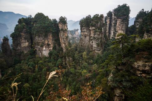 peak sequence 51