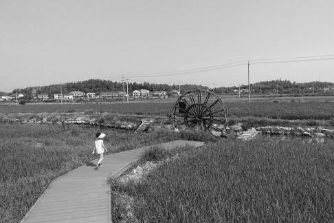 Green rural areas 6