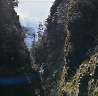 Dawn Valley 1