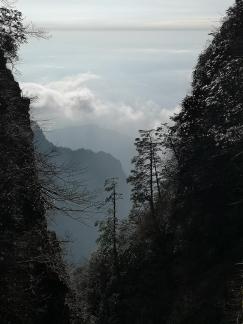 Dawn Valley 4