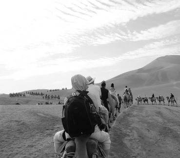 Desert Journey 49