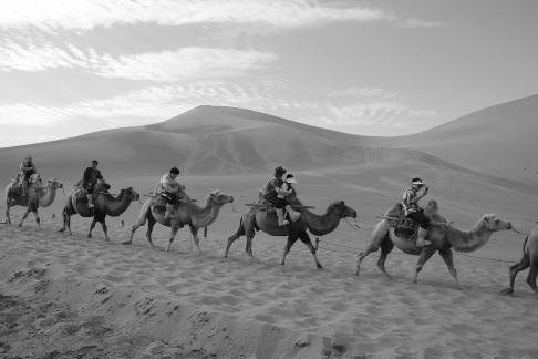 Desert Journey 51