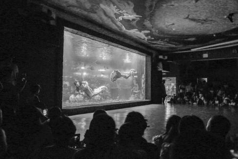 Aquarium Tour 33