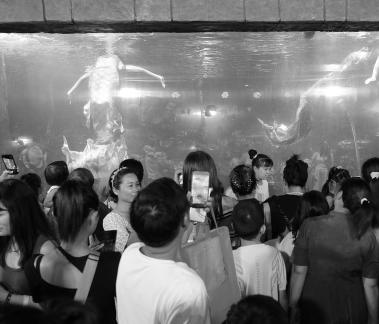 Aquarium Tour 34