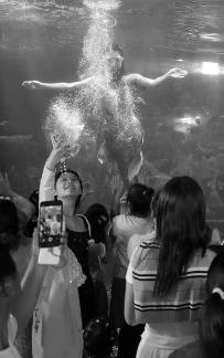 Aquarium Tour 35